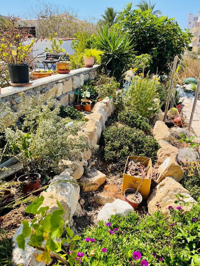 Ferienwohnung Peaceful Townhouse With Private Pool Near The Sea Paphos Exterior foto